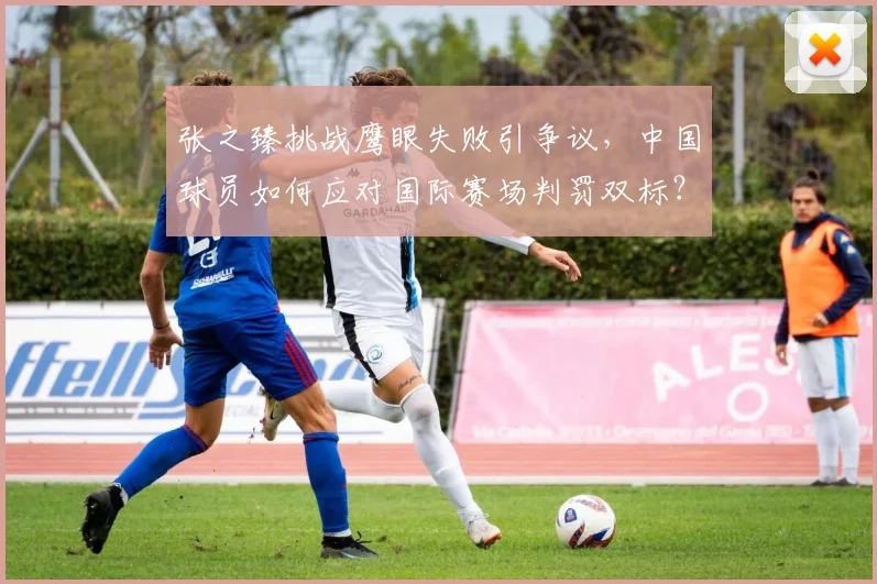 张之臻挑战鹰眼失败引争议，中国球员如何应对国际赛场判罚双标？